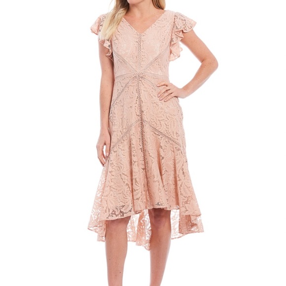 Taylor Dresses Womens Stretch Crepe with Lace Taylor Dresses Womens Stretch Crepe with Lace